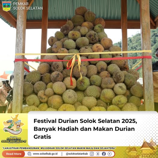 Festival Durian Solok Selatan 2025, Banyak Hadiah dan Makan Durian Gratis
