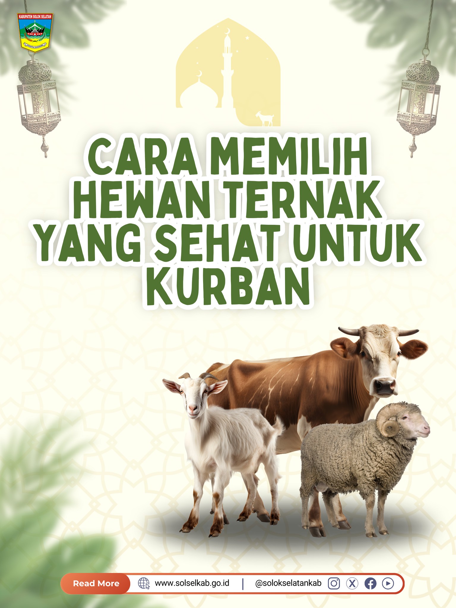 Bagaimana memastikan sapi, kambing, atau domba yang akan dikurban sesuai dengan ketentuan